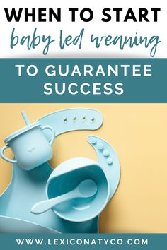 a baby feeding bowl and spoon with the words when to start baby led training to guarantee success