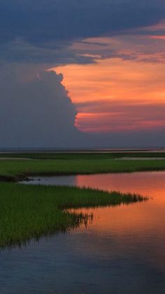 the sun is setting over the marshy water and green grass in the foreground