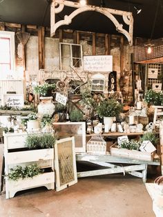 a room filled with lots of different types of furniture and plants in pots on top of tables