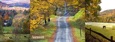 three different pictures of the same country road in autumn and fall, with trees changing colors