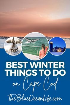 winter things to do on Cape Cod Indoor Activities, Casual Work Outfits, Ocean Life, Cape Cod, Outdoor Adventures, Fun Things, Blue Ocean, The Winter, Outdoors Adventure