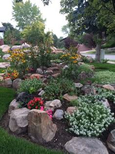 a garden filled with lots of rocks and flowers on top of it's grass