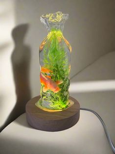 a fish in a glass bottle on a wooden base with a light shining behind it