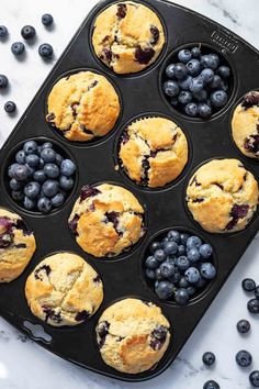 blueberry muffins in a muffin tin with fresh blueberries