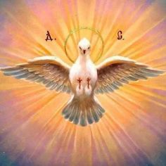 a white dove with the letter a on it