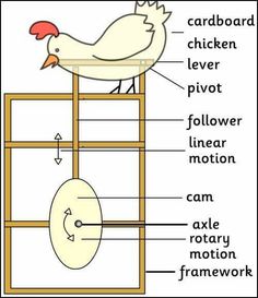 the parts of a chicken on a ladder