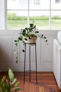 a potted plant sitting on top of a metal stand in front of a window