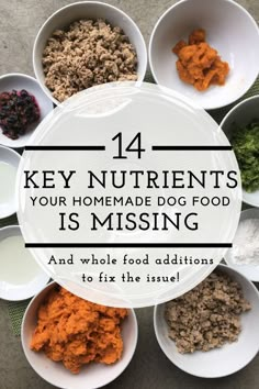 Dog Food Diy, Lou Dog, Pet Food Recipes, Dog Meals, Dog Food Ideas