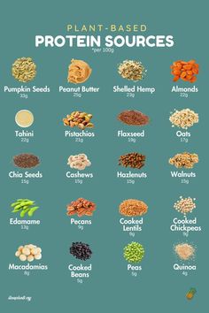 the plant based protein sources are shown in this chart, which includes different types of beans and