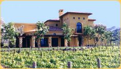 a large house sitting on top of a lush green hillside next to a vineyard filled with trees