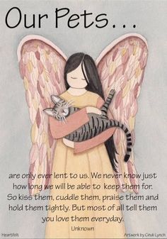 an angel holding a cat with the caption our pets are only even sent to us, we never know just how long we'll be able to keep them