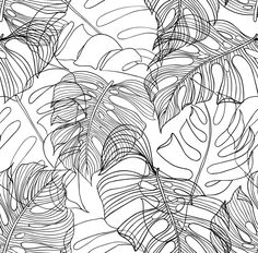 a black and white drawing of leaves with lines on the bottom, in an abstract manner