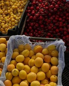 many different types of fruit are in bins on display at the market, including cherries and peaches