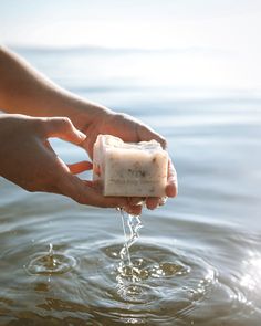 Tofino Soap | Calm - Tofino Soap Company ® Soap Dish, Lavender Essential Oil, Natural Soap, Coconut Oil, Lavender, Soap