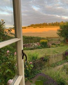 an open window looking out onto a field with flowers in the foreground and a wooden fence to the right