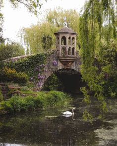 a white swan swimming in the water under a bridge