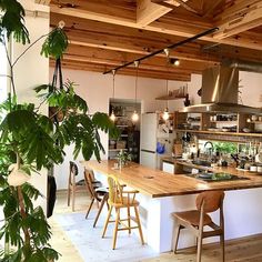 a kitchen with wooden floors and white walls, surrounded by greenery on the ceiling