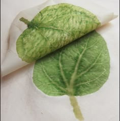 a green leaf laying on top of a piece of paper