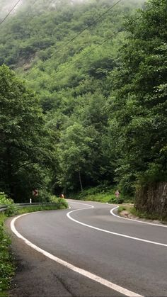 a curved road surrounded by lush green trees