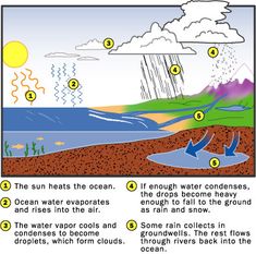 an image of the water cycle with labels on it and instructions to label them in english