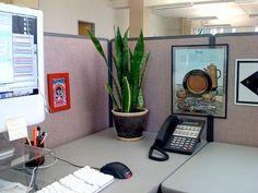 an office cubicle with a computer, phone and plant