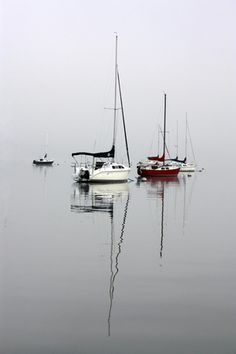 several sailboats floating in the water on a foggy day