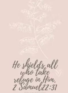 a pink background with a white flower and the words he shields all who take refuge in him 2 samuel 22 31