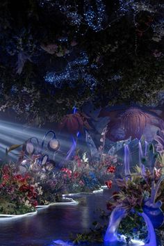 an image of a flower show with lights and flowers in the background at night time