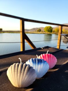 three seashells sitting on top of a table next to a body of water