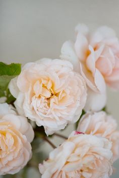 some pink flowers are in a glass vase