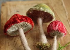 three mushrooms on a cutting board with one red and the other green, sitting next to each other