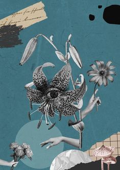 an artistic collage with flowers, mushrooms and other things in black and white on a blue background