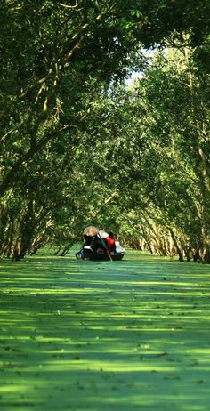 a motorboat traveling down a river surrounded by trees