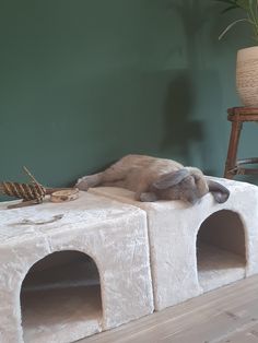 a dog laying on top of a white cat bed