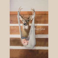 Country Baby Pictures, Deer Photography, Baby Boy Pictures, Western Babies, Baby Boy Room Nursery