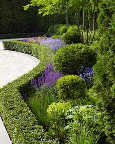 a garden with various types of plants and flowers in the center, along side a paved path