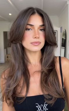 The Expensive Old Money Brunette (Gallery) | Rich Brunette Hair Color Trend 2024 | Expensive Brown Hair Aesthetic Inspo | Light brown hair | dark brown hair Light Brown Hair Styles, Brown Hair Styles, Rich Brunette Hair, Cool Brown Hair, No Make Up Make Up Look, Haircut Idea, Hairstyle Curly, Hair Man