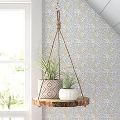 two potted plants hanging from a wooden shelf in front of a window with blue and white wallpaper