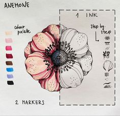 a flower is shown on top of a sheet of paper with the names and colors below it