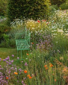 a green bench sitting in the middle of a garden filled with lots of wildflowers