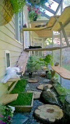 a cat is climbing up the side of a house