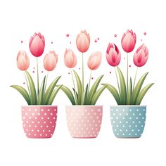 three potted plants with pink flowers in them