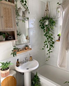 a white bathroom with plants hanging on the wall