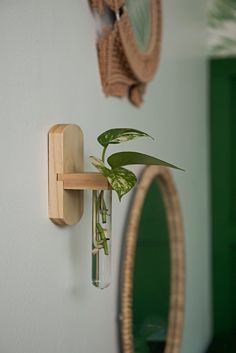 a plant in a glass vase on a wooden shelf next to a wall mounted mirror