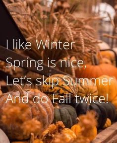 pumpkins and gourds with the words i like winter spring is nice, let's skip summer and do fall twice