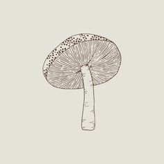 a drawing of a mushroom with dots on it's top and the bottom part of its