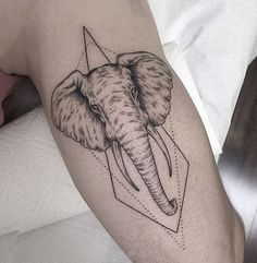 an elephant tattoo is shown on the right side of the arm, and it looks like he