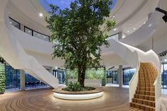 a tree in the middle of a circular room with stairs leading up to an entrance