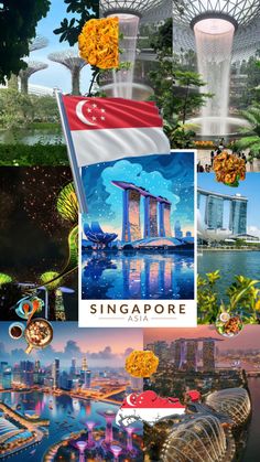 singapore collage with the flag and other images