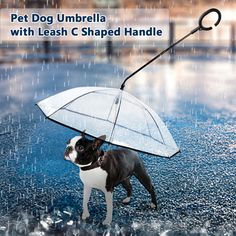 Pet Umbrella with C shaped Telescopic Handle Transparent Visible Pet Dog Umbrella, Cat Umbrella, Transparent Umbrella, Cat Leash, Dog Leads, Hyena, Cat Supplies, Training Tips, Four Legged